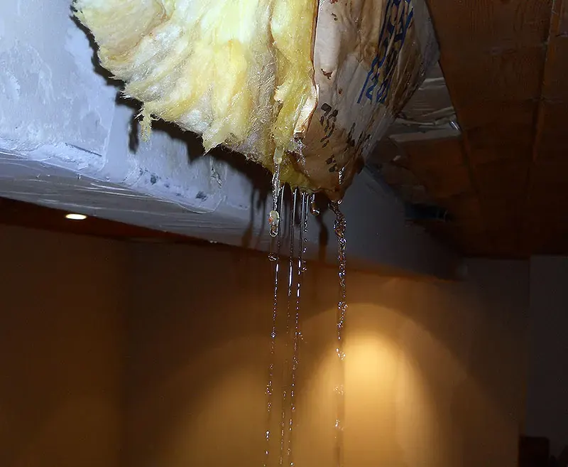 Water pouring through a torn ceiling and wet insulation from a roof leak, Loveland, CO