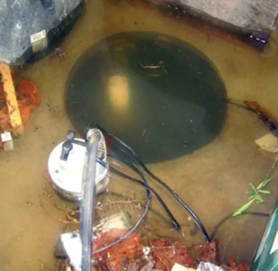 Sump pit and pump under standing groundwater in a flooded basement, Loveland, CO